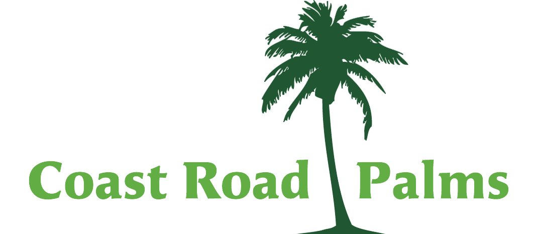 Business Logo With Palm Background